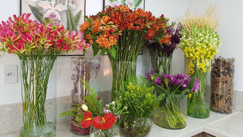 Insumos para prática